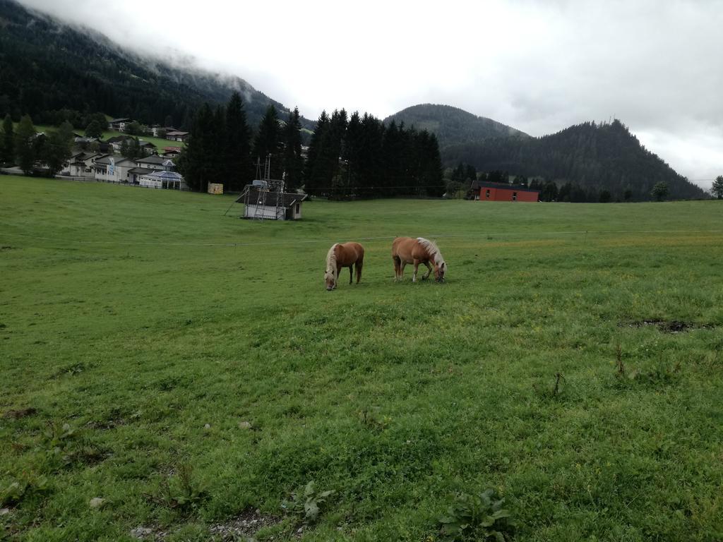 Apartment Knablhof Sankt Martin am Tennengebirge Buitenkant foto