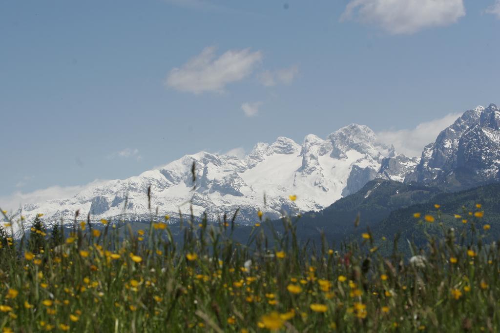 Apartment Knablhof Sankt Martin am Tennengebirge Buitenkant foto